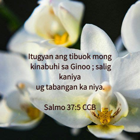 bisaya quotes sa gugma|gugma: Bible verses on love .